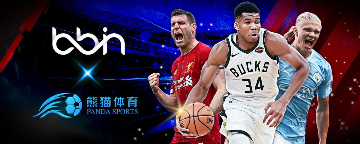 企业的归属